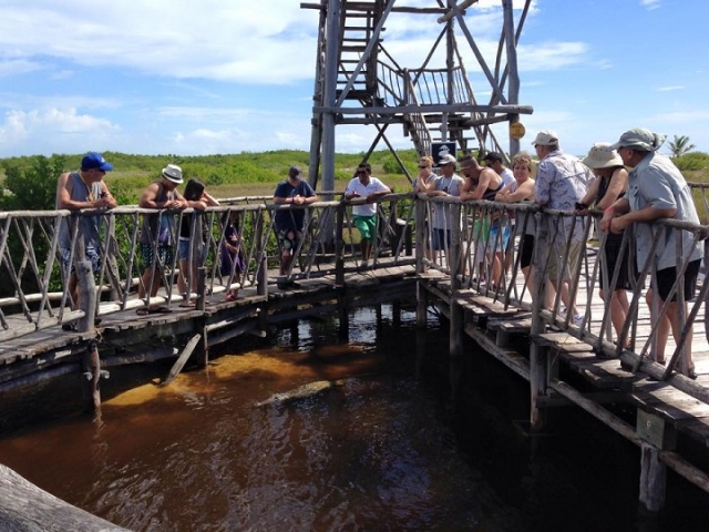  lagune aux crocodiles 